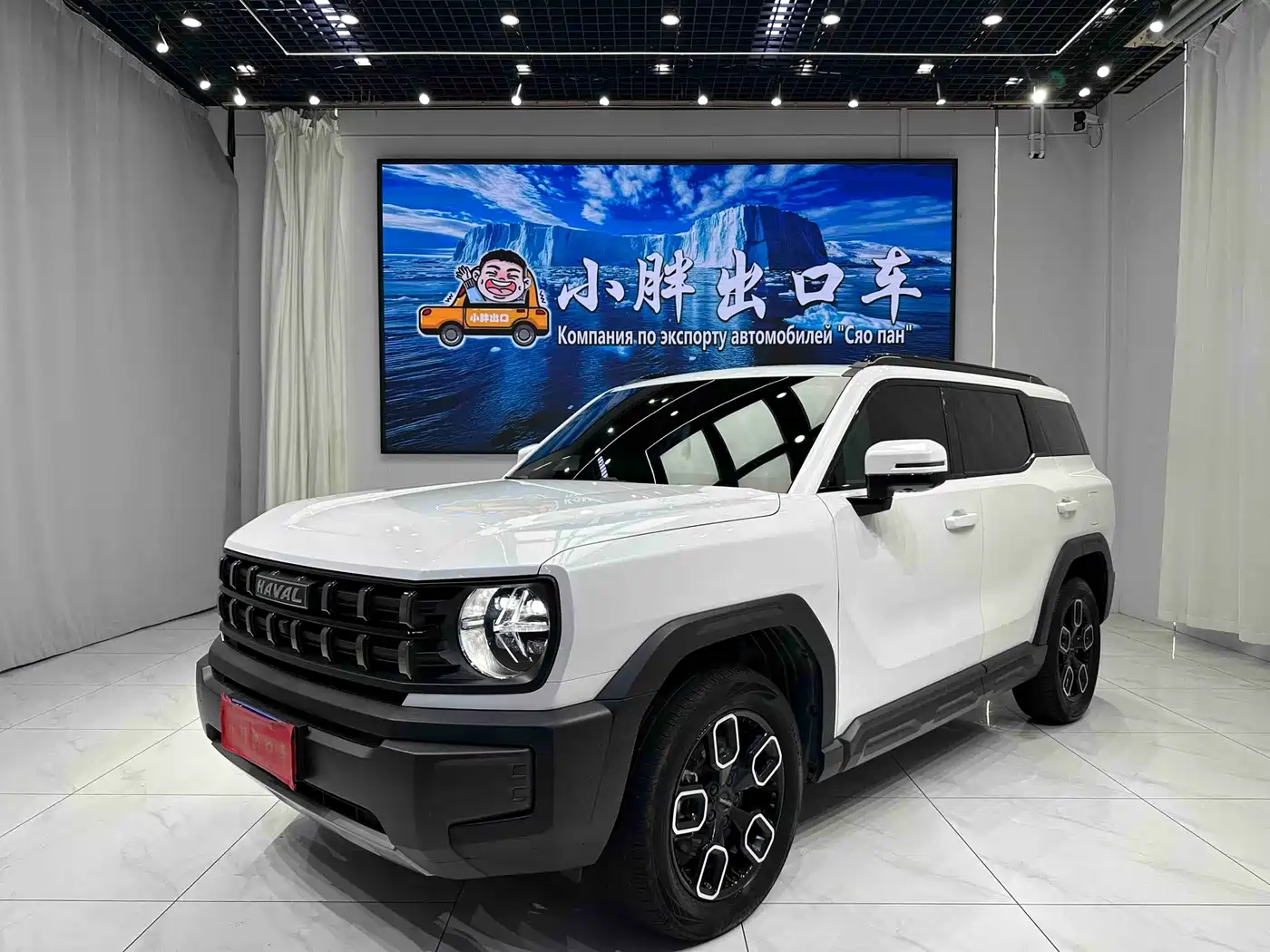 Haval Cool Dog 2022