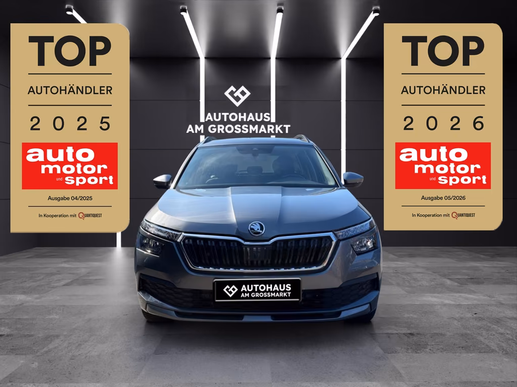 Skoda Kamiq 2022 г. Серый, пробег 47096 км