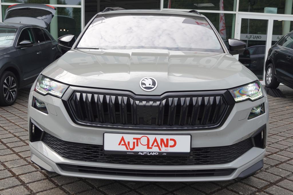 Skoda Karoq 2023 г. Серый, пробег 33060 км