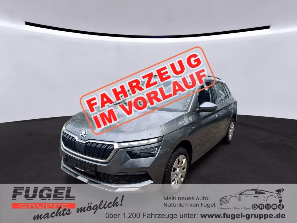 Skoda Kamiq 2023 г. Серый, пробег 46849 км