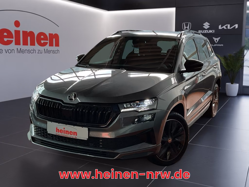 Skoda Karoq 2023 г. Серый, пробег 28597 км