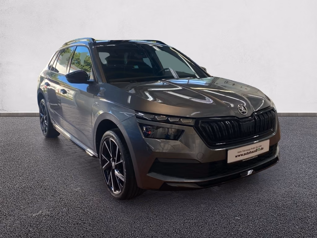 Skoda Kamiq 2022 г. Серый, пробег 39400 км