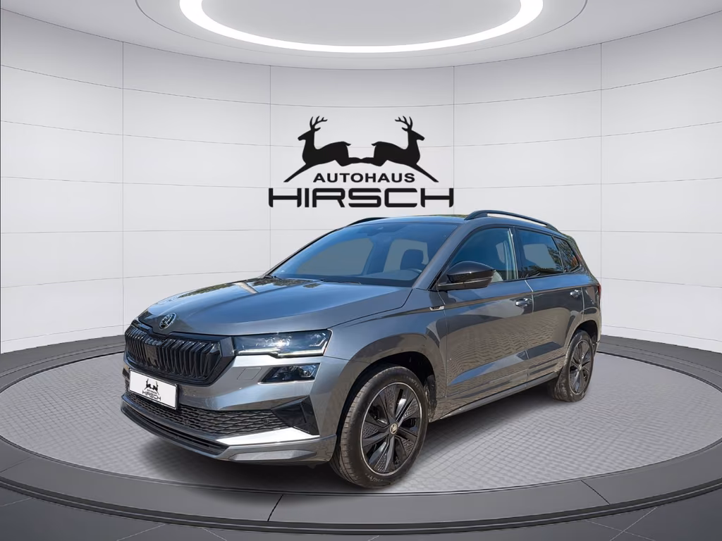 Skoda Karoq 2023 г. Серый, пробег 44460 км