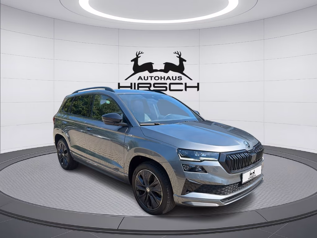 Skoda Karoq 2023 г. Серый, пробег 44460 км