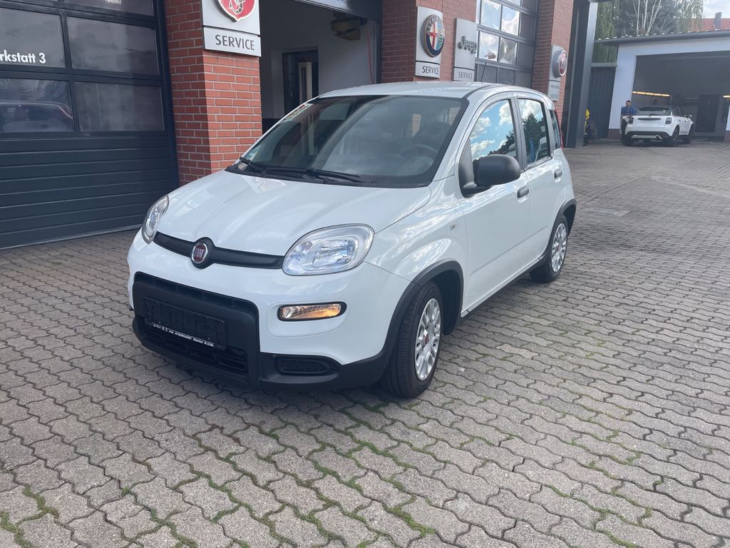 Fiat Panda 2022 г. Белый, пробег 36200 км