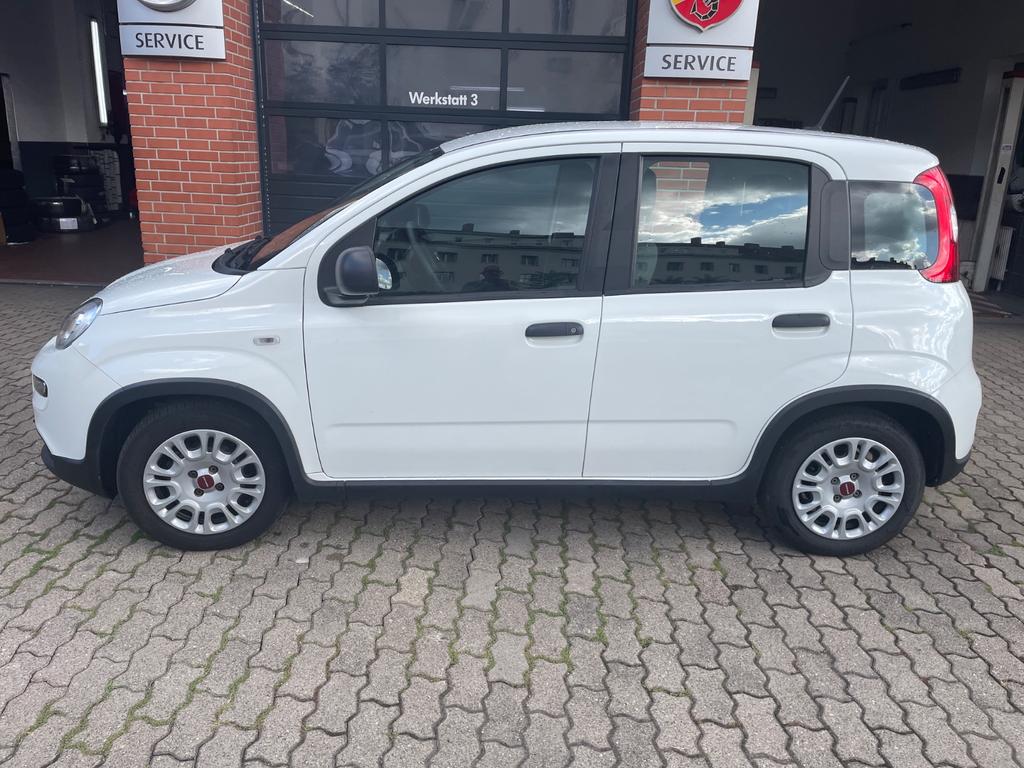 Fiat Panda 2022 г. Белый, пробег 36200 км