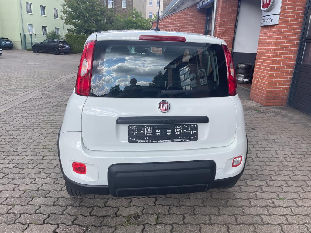 Fiat Panda 2022 г. Белый, пробег 36200 км