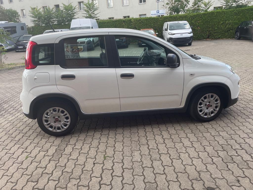 Fiat Panda 2022 г. Белый, пробег 36200 км
