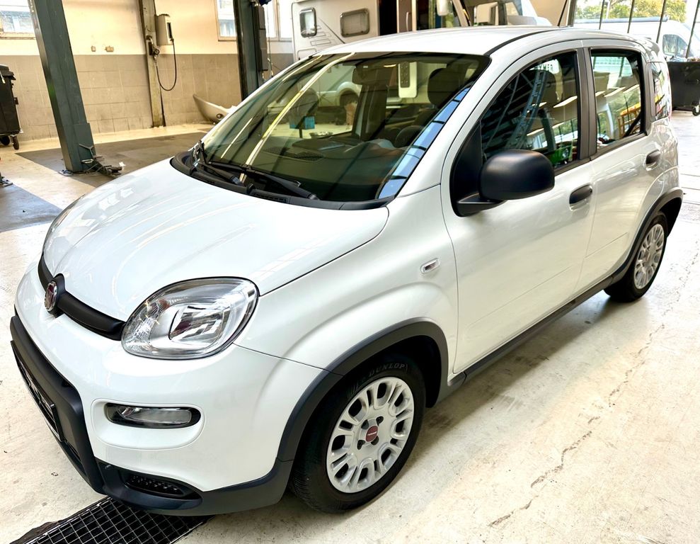 Fiat Panda 2023 г. Белый, пробег 36018 км