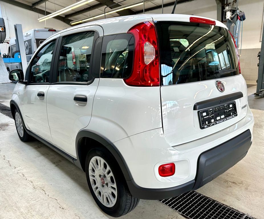 Fiat Panda 2023 г. Белый, пробег 36018 км
