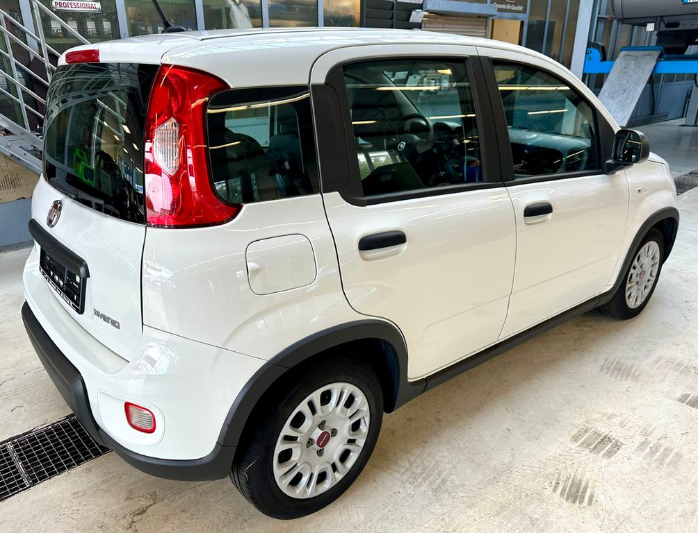 Fiat Panda 2023 г. Белый, пробег 36018 км
