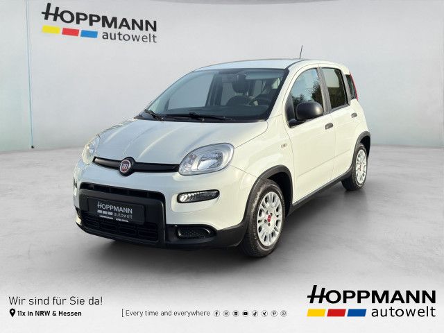 Fiat Panda 2023 г. Белый, пробег 53520 км