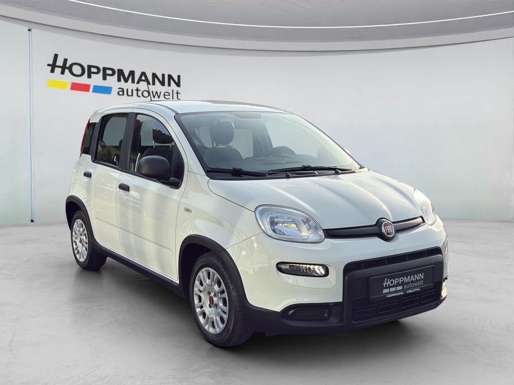 Fiat Panda 2023 г. Белый, пробег 53520 км