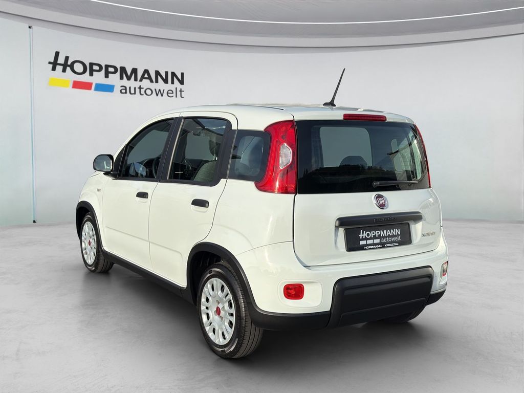Fiat Panda 2023 г. Белый, пробег 53520 км